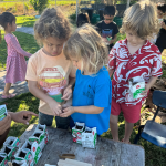 Kai kohola keiki mala