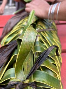 IMG_6531